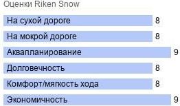 шины Riken Snow фото картинка шины Riken Snow