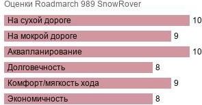картинка шины Roadmarch 989 SnowRover
