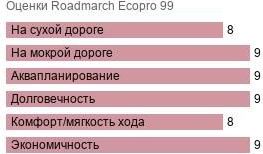 картинка шины Roadmarch Ecopro 99