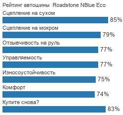 картинка шины Roadstone NBlue Eco