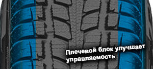 шины Roadstone N-Priz 4S фото картинка шины Roadstone N-Priz 4S