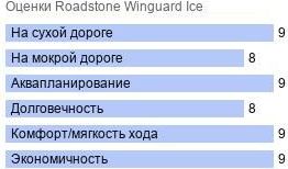 шины Roadstone Winguard Ice фото картинка шины Roadstone Winguard Ice