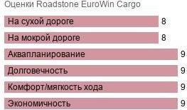 шины Roadstone EuroWin Cargo фото картинка шины Roadstone EuroWin Cargo