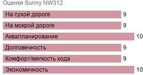 картинка шины Sunny NW312