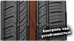 шины Sunny NP226 фото картинка шины Sunny NP226