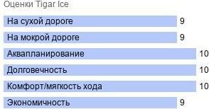 шины Tigar Ice фото картинка шины Tigar Ice