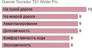 шины Tourador TS1 Winter Pro фото картинка шины Tourador TS1 Winter Pro