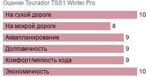 шины Tourador TSS1 Winter Pro фото картинка шины Tourador TSS1 Winter Pro