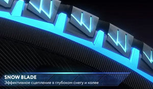 картинка шины Toyo Observe Ice Freezer