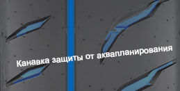 картинка шины Toyo Proxes R888R