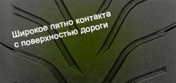 Toyo Proxes R888 фото шины картинка шины Toyo Proxes R888