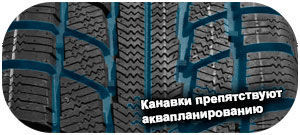 картинка шины Triangle TR777 Snow Lion