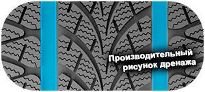 картинка шины Triangle TW401 WinterX