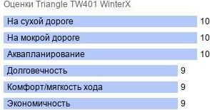 картинка шины Triangle TW401 WinterX