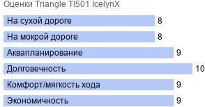картинка шины Triangle TI501 IcelynX