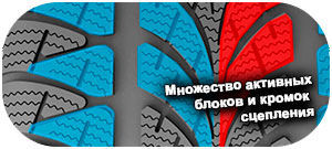 картинка шины Triangle TW401 WinterX