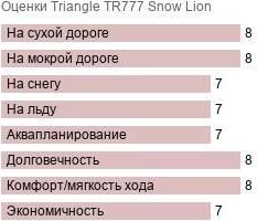 картинка шины Triangle TR777 Snow Lion