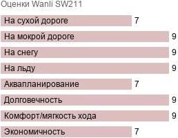 картинка шины Wanli SW211