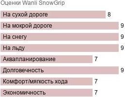 шины Wanli SnowGrip фото картинка шины Wanli SnowGrip