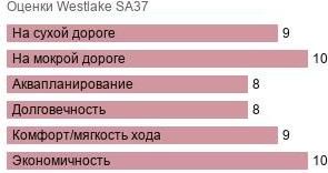 картинка шины Westlake SA37