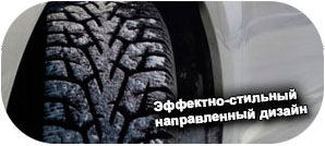 картинка шины Yokohama iG55 IceGuard