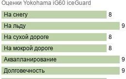 шины Yokohama iG60 iceGuard фото картинка шины Yokohama iG60 iceGuard