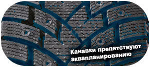 шины Zeta Antarctica Sport фото картинка шины Zeta Antarctica Sport