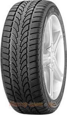 Nokian WR 205/50 R16 87H